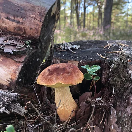 Holiday home North Port